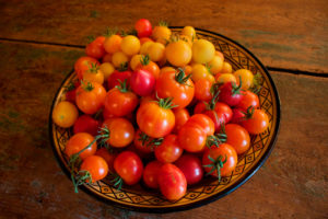 tomates café cité du verbe